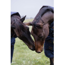 Couverture d'extérieur All Weather imperméable Pro Kentucky 1680D Marine Bleu marine Couverture d'extérieur All Weather imperméable Pro Kentucky 1680D Marine Bleu marine