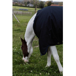 Turnout deken All Weather Waterproof Comfort Kentucky