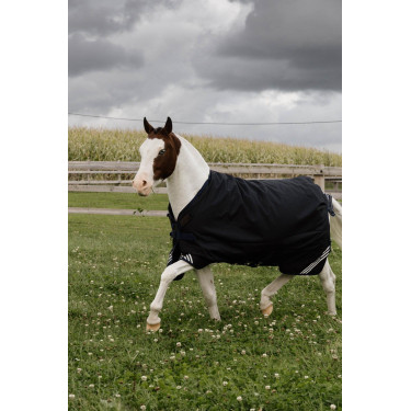 Turnout Rug All Weather Waterproof Comfort Kentucky