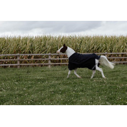 Turnout Rug All Weather Waterproof Comfort Kentucky