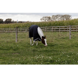 Turnout Rug All Weather Waterproof Comfort Kentucky