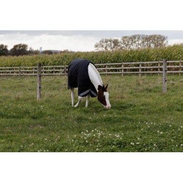 Turnout Rug All Weather Waterproof Comfort Kentucky