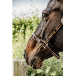 Hoofdstel voor Flexibele Kentucky Halster Bruin