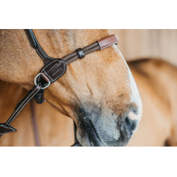 Bridon sans mors Bitless Dy'on Marron