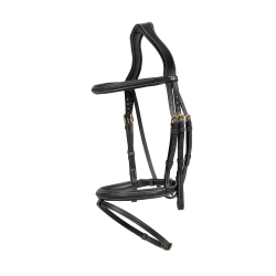 Bridon Dy'on D collection muserolle combinée tréssé Noir