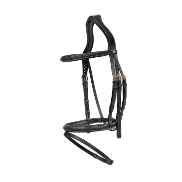 Bridon Dy'on D collection muserolle combinée tréssé Noir