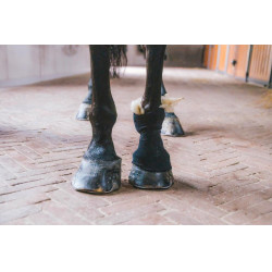 Therapeutische wol 150g Grooming Deluxe by Kentucky Therapeutische wol 150g Grooming Deluxe by Kentucky