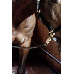 Longe d'attache silicone Kentucky Noir