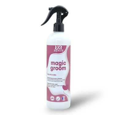 Droogshampoo Rekor Magic Groom Droogshampoo Rekor Magic Groom
