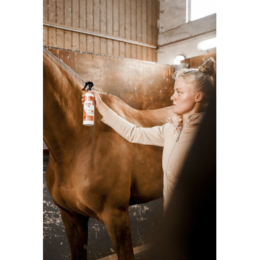 Répulsif insecticide Rekor Ultra Fly Répulsif insecticide Rekor Ultra Fly