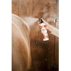 Insecticide-afweermiddel Rekor Ultra Fly Insecticide-afweermiddel Rekor Ultra Fly