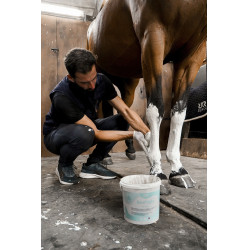 Ontspannende pasta voor pezen en gewrichten Rekor Ice N'Tight Ontspannende pasta voor pezen en gewrichten Rekor Ice N'Tight