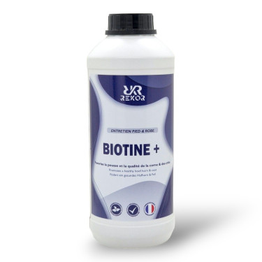 Biotine Rekor Biotine+ Biotine Rekor Biotine+