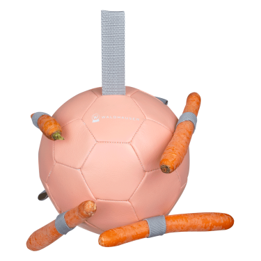 Wortelbal Waldhausen Wortelbal Waldhausen