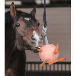 Balle Waldhausen à carottes Linnea rose Balle Waldhausen à carottes Linnea rose