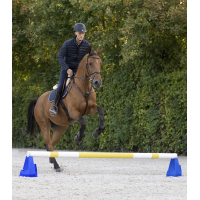 Bloc d’obstacle Cavaletti Waldhausen Bleu Bloc d’obstacle Cavaletti Waldhausen Bleu
