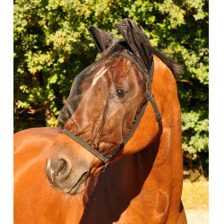 Bonnet anti-mouches Waldhausen Basic protection oreille