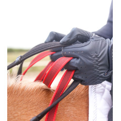 Bricole Waldhausen rênes de sécurité Secutrust Noir