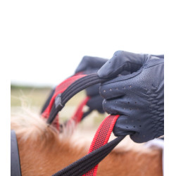 Bricole Waldhausen veiligheidsleidsels Secutrust Zwart