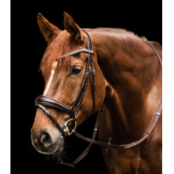 Bridon Waldhausen S-Line Essential Bruin