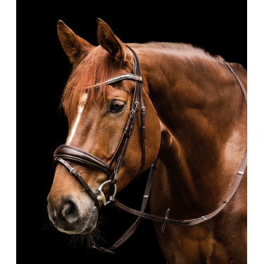 Bridon Waldhausen S-Line Essential Bruin