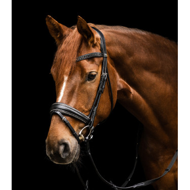 Hoofdstel Waldhausen S-Line Glamour Zwart
