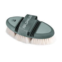 Brosse lustrante Waldhausen Flex Gui Vert