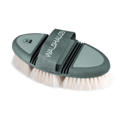 Brosse lustrante Waldhausen Flex Gui Vert