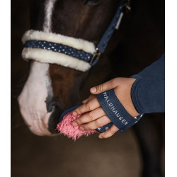 Brosse chiendent Waldhausen Lucky Bleu nocturne / lucky Brosse chiendent Waldhausen Lucky Bleu nocturne / lucky