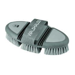 Brosse de pansage Flex Waldhausen soies synthétiques souples Gui