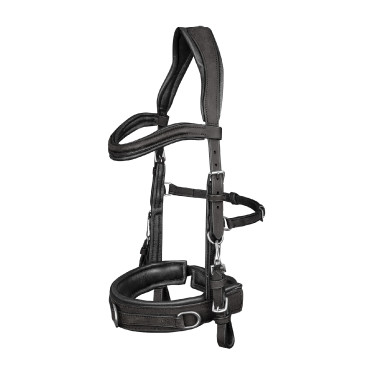 Caveçon Waldhausen en cuir anatomic Noir