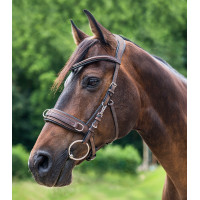 Waldhausen kaptoom van anatomisch leer Bruin