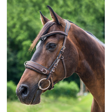 Waldhausen kaptoom van anatomisch leer Bruin