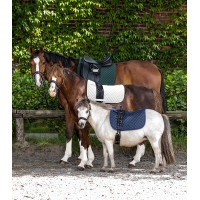 Zadeldek Waldhausen Felix Wit Zadeldek Waldhausen Felix Wit