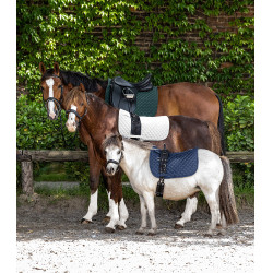 Zadeldek Waldhausen Felix Wit