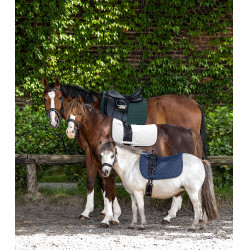 Tapis de selle Waldhausen Felix Vert sapin