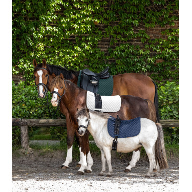 Zadeldek Waldhausen Felix Donkergroen