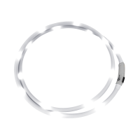 Collier dencolure LED Waldhausen Blanc