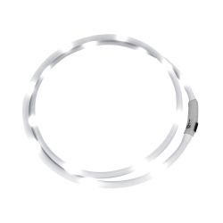 Collier dencolure LED Waldhausen Blanc Collier dencolure LED Waldhausen Blanc