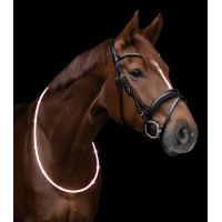 Collier dencolure LED Waldhausen Blanc