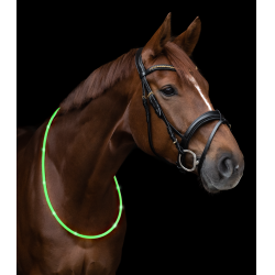 Collier dencolure LED Waldhausen Vert Collier dencolure LED Waldhausen Vert