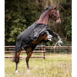 Buiten deken Waldhausen Scandic 200 g Zwart Buiten deken Waldhausen Scandic 200 g Zwart