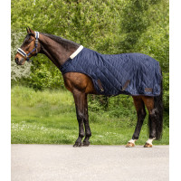 Waldhausen Exclusive 50 g stapdeken Nachtblauw