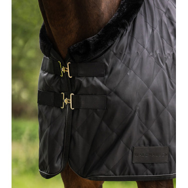 Transportdeken Waldhausen Exclusive 50 g Zwart