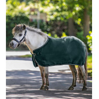 Couverture polaire Waldhausen Economic Vert sapin Couverture polaire Waldhausen Economic Vert sapin