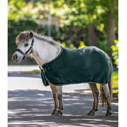 Couverture polaire Waldhausen Economic Vert sapin