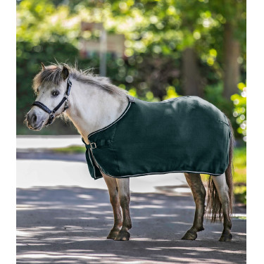 Couverture polaire Waldhausen Economic Vert sapin