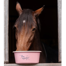 Voederbak met deksel Waldhausen Linnea roos