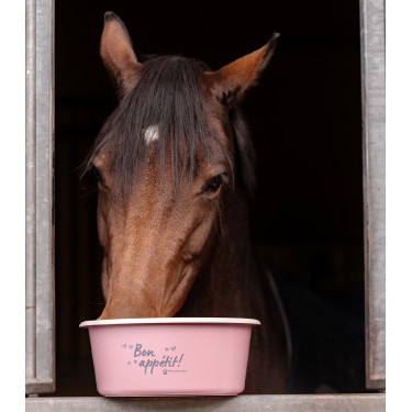 Voederbak met deksel Waldhausen Linnea roos
