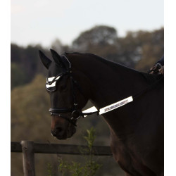 Ensemble réfléchissant Waldhausen pour brides Reflex Gris argent